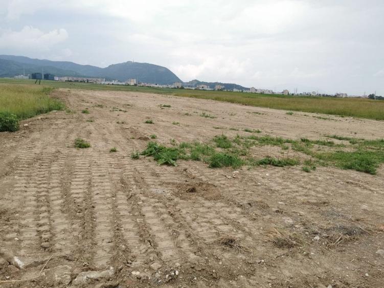 Teren pentru hale si depozite Timisul sec- Uzina 2 front la ocolitoare - 3