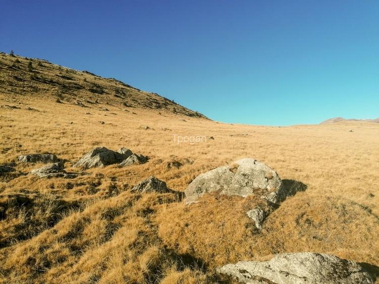 Platoul Bucegi zona Blana 2500mp intravilan construibil - TransBucegi