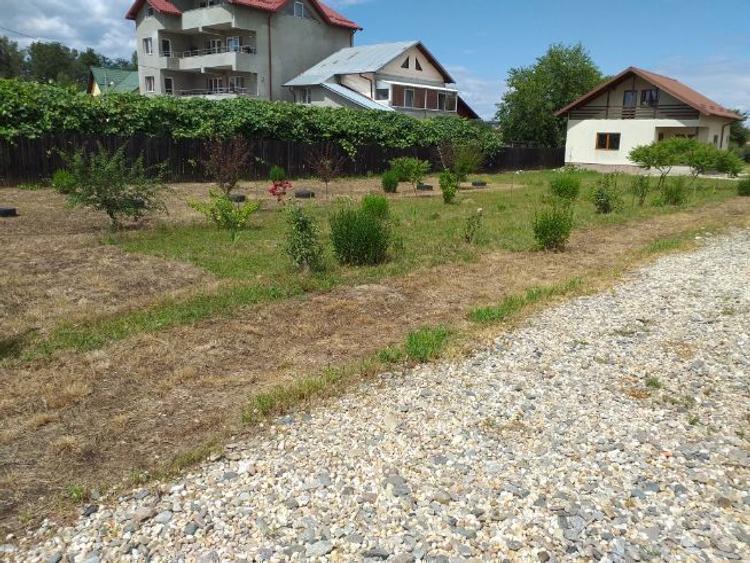 Teren vanzare 5000 mp + Casa vacanta  - 2