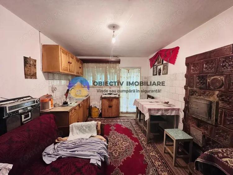 Casa tradi?ionala Bodesti - 1