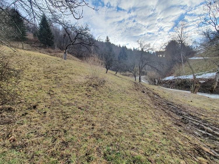 Teren rezidential Bran Simon zona de case - 2