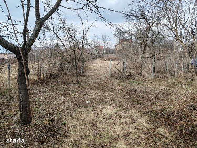 Cornu de Jos - casa Batraneasca + teren 1343mp - 60000 Euro - 10