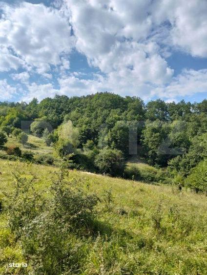 Teren generos de 70290 mp, 5045 mp intravilan, Poiana Ampoiului, Metes - 10