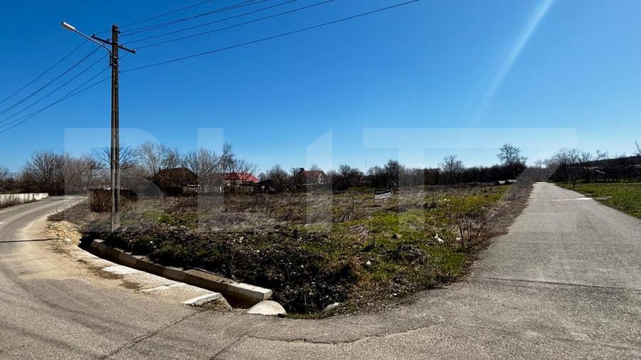 Teren IV 1.331 mp, deschidere bilaterala, toate utilitatile, Mischii - 3