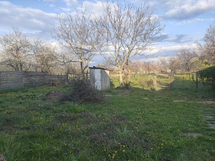 Vand casa cu gradina - 5