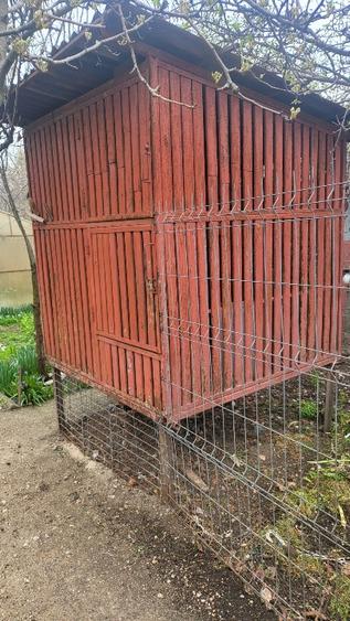 Casa  toate utilitatile Rosiorii de Vede  - 12