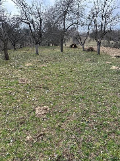 Teren de vanzare - 2