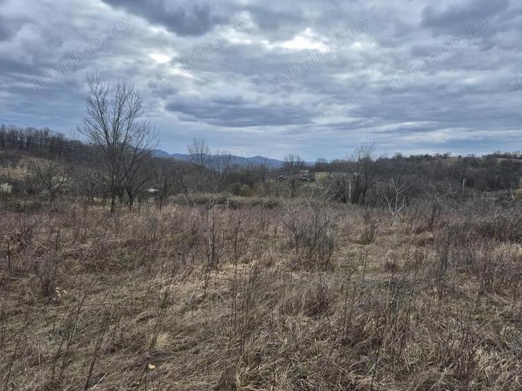 Vand teren Intrare spre Iabalcea - 7