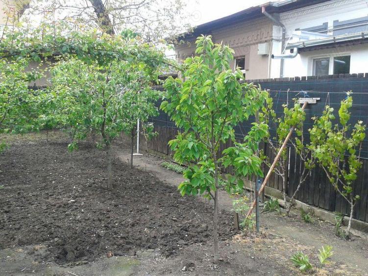 Vand teren cu casa sos.Viilor - 2