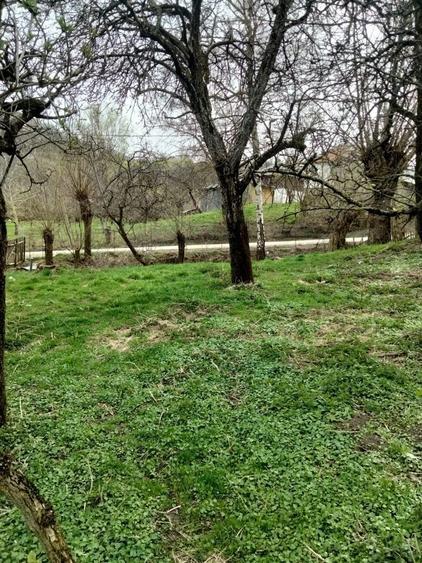 Vand teren intravilan , si casa batraneasca ! - 1