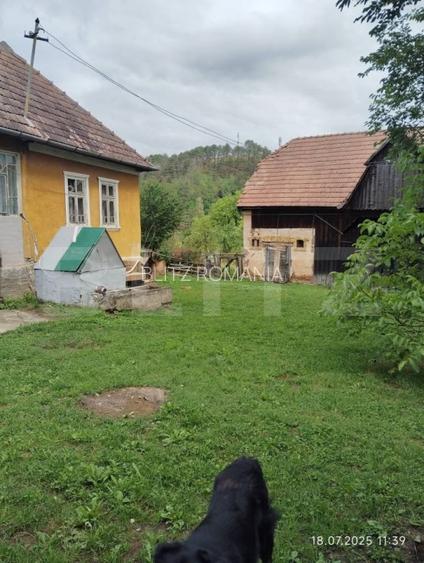 Casa la tara de vanzare, teren de 6000 mp - Cacova Ierii, Comuna Iara, Cluj