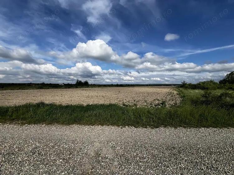 Teren intravilan parcelabil - Pausa comuna Nojorid - IMOBIHOR - 3