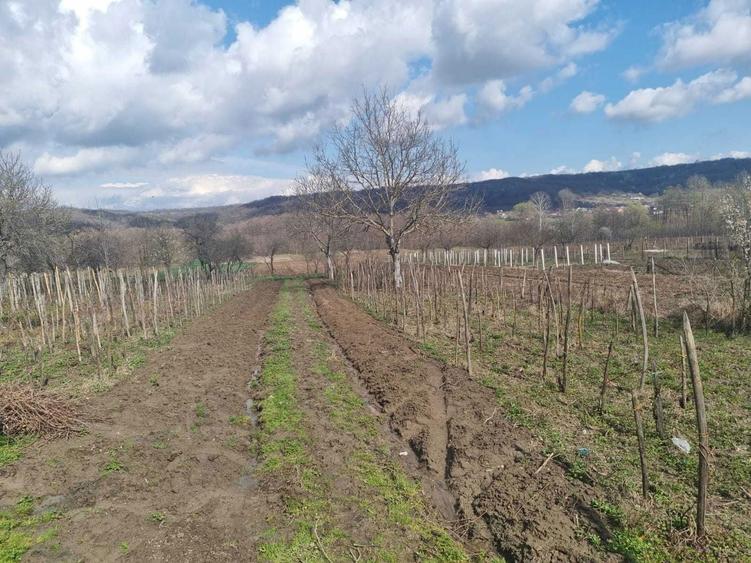Casa de vanzare Comuna Creteni, judetul Valcea la 12 km de Dragasani, - 7