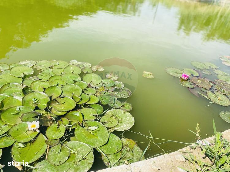 Vila de vanzare Padurea Snagov - 16