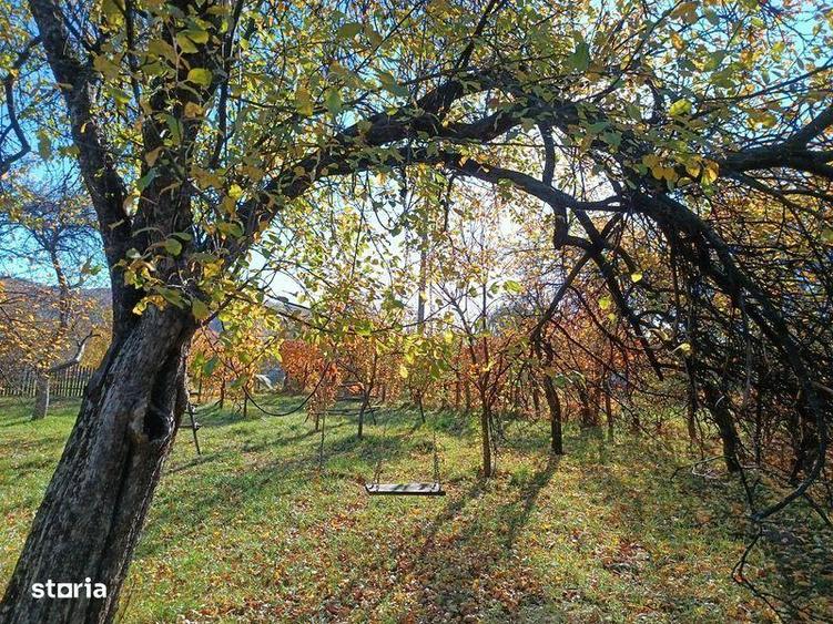 Casa si teren de vanzare - 4