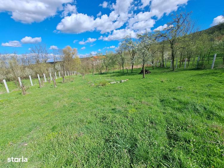 Teren de vanzare 3600mp, cu proiect si autorizatie- Berghin- Straja - 5