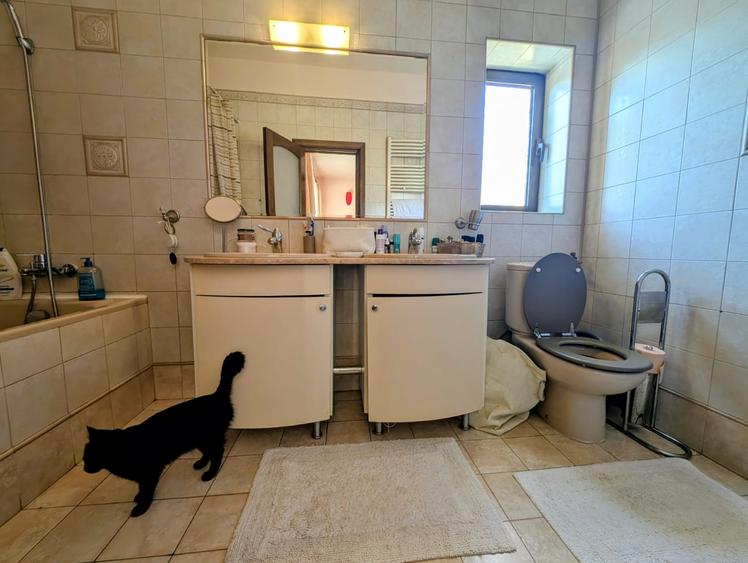 P+E+M,cartier rezidential elegant,liniste,paza,bariera,nepoluat,vecini deosebiti - 7