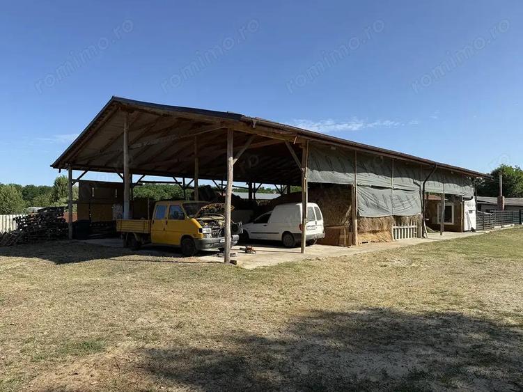 Catun Ferma autorizata Tip A pentru cresterea porcilor - IMOBIHOR - 6