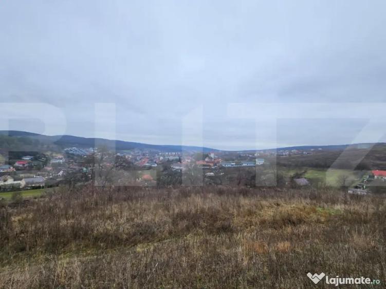 Teren intravilan 4756 mp de vanzare in Livezeni - 1