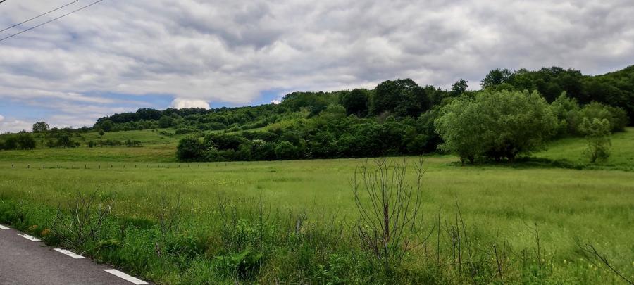 Teren la padure, panoramic dealuri si paduri, curent si asfalt - 9
