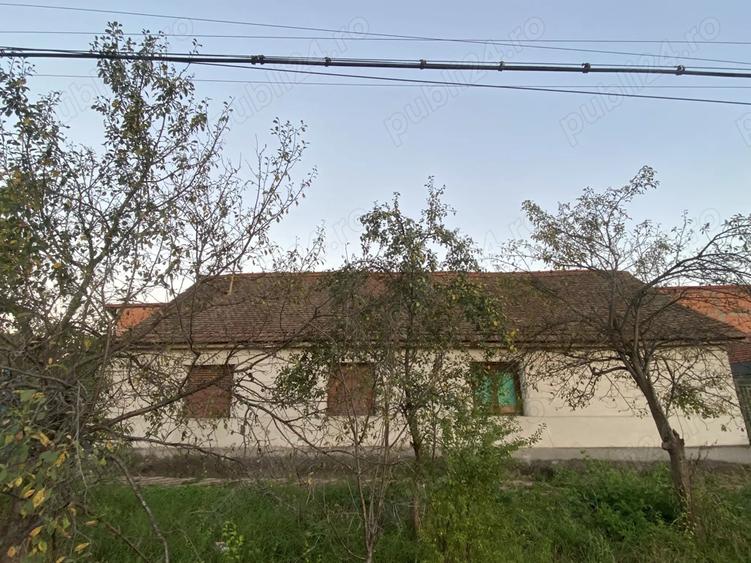 Casa cu pozi?ie excelenta, centrala, in Faget - 10