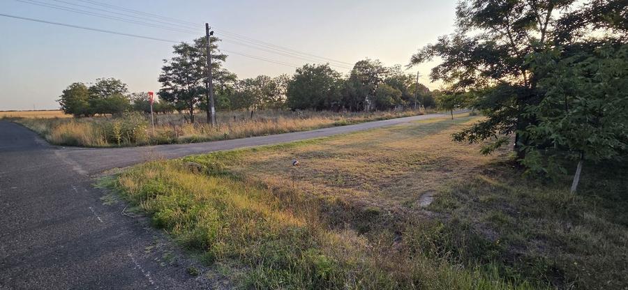 Teren intravilan &icirc;n localitatea Berini - 9