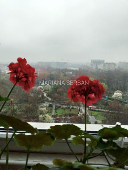 Apartament cu 3 camere decomandat în Doamna Ghica Apartament cu 3 camere decomandat în Doamna Ghica