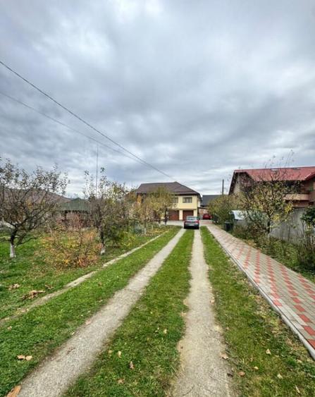 CASA DE VIS SAU AFACERE DE SUCCES BAIA SPRIE - 8