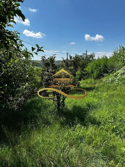 Casa de vanzare in Secuieni / Bacau - 17