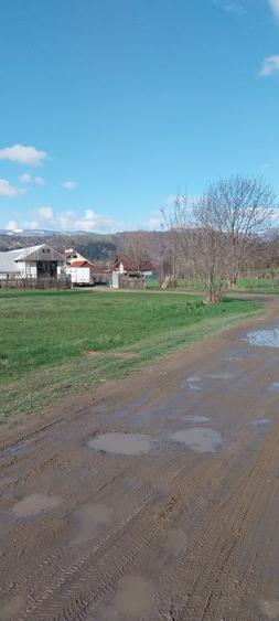 Teren de vanzare - 4