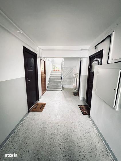 MT246 Apartament 2 camere, Sagului, parter-necesita renovare - 18