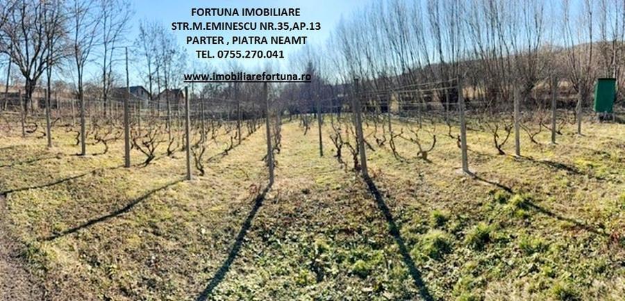 Proprietate com.Girov,compusa din casa, anexe si 8800 mp teren - 22