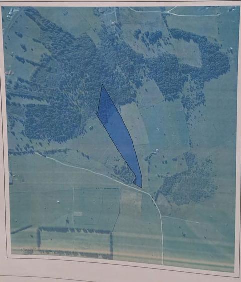 Teren de vanzare Saru Dornei 2euro / mp - 7