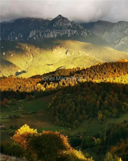 7.000 mp, pozitie spectaculoasa, fara vecini, Fundatica, Bra 7.000 mp, pozitie spectaculoasa, fara vecini, Fundatica, Bra
