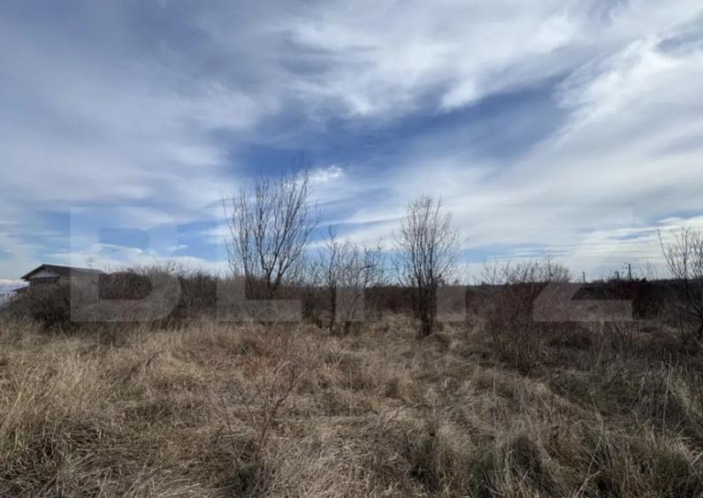 Teren extravilan de vanzare, 15.000 mp, zona Narcise II - 3