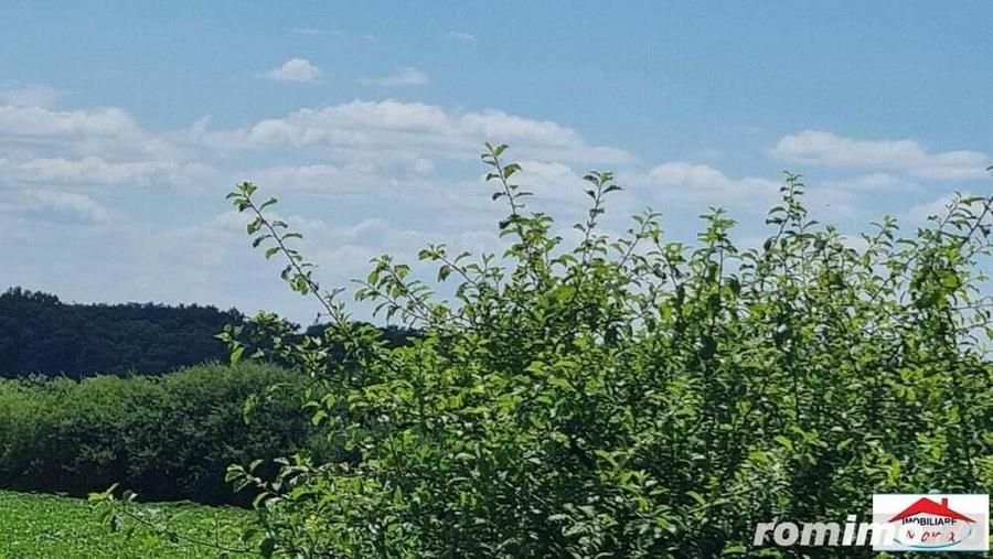 Teren intravilan 1 hectar la sosea nationala Dorolt ( ID 22872) - 6