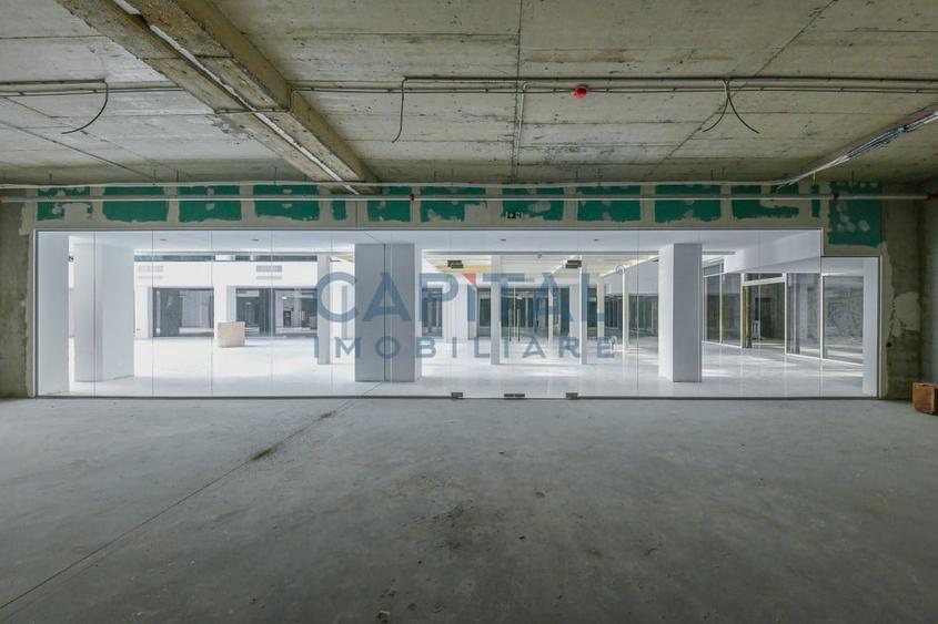 Spatiu comercial Sopor 1-3, Cluj-Napoca - 3