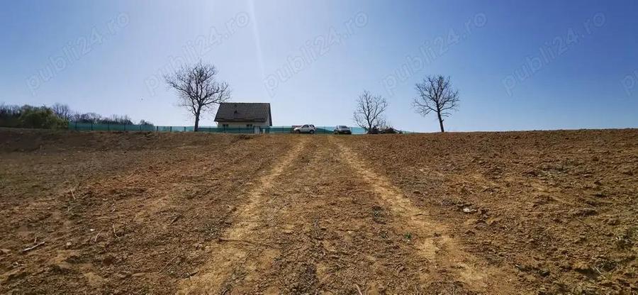 Parcele intravilan cu extravilan Calea Caransebesului km 2 loturi de 1000 mp negociabil - 3