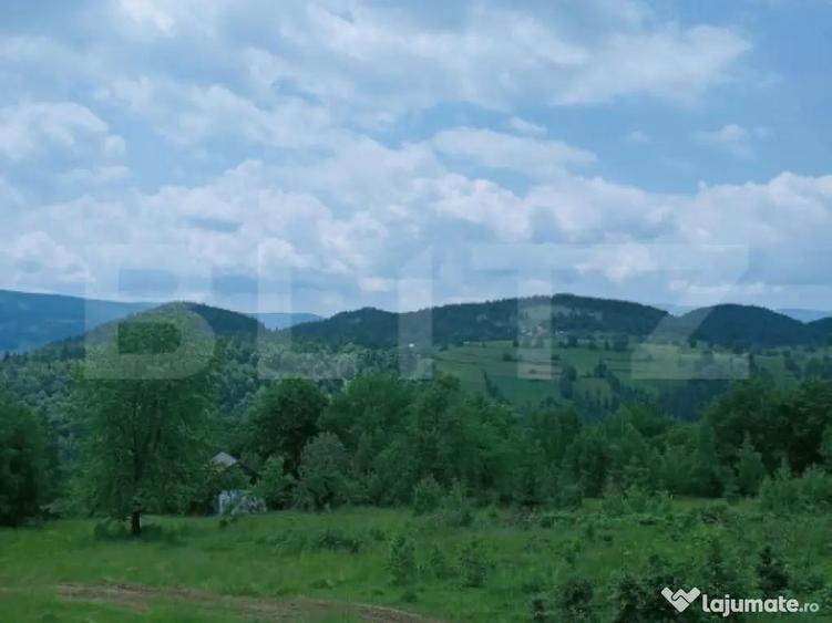 Teren intravilan de vanzare, 12000mp, Trance?ti, Scari? - 4