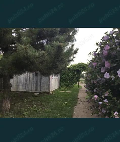 Teren de vanzare 2400m,magazin mixt + sta?ie GPL, func?ionale,autoriza?ii la zi,Peri?oru,CL - 4