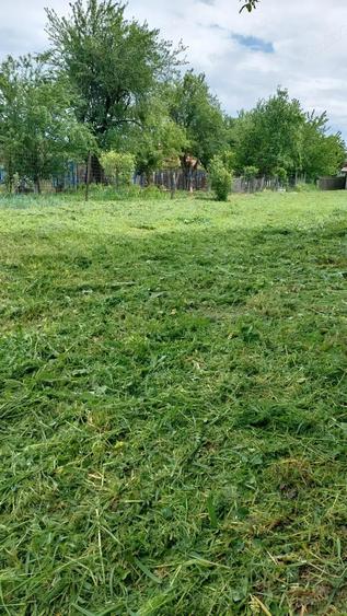 Teren intravilan, 1000 mp, Iezureni Gorj - 1