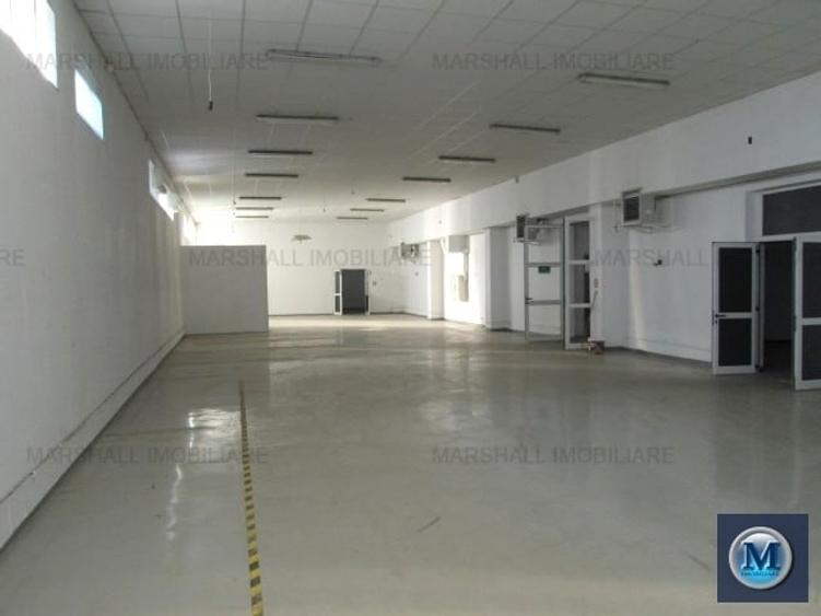 Spatiu industrial de inchiriat in Filipestii de Padure, 1000 mp #13513 - 3