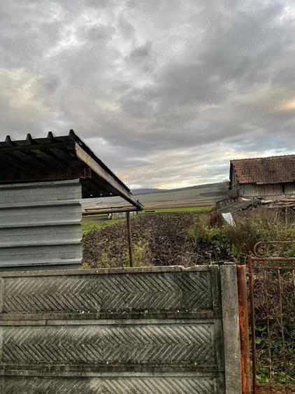 Vand Casa Cisteiu de mures - 7