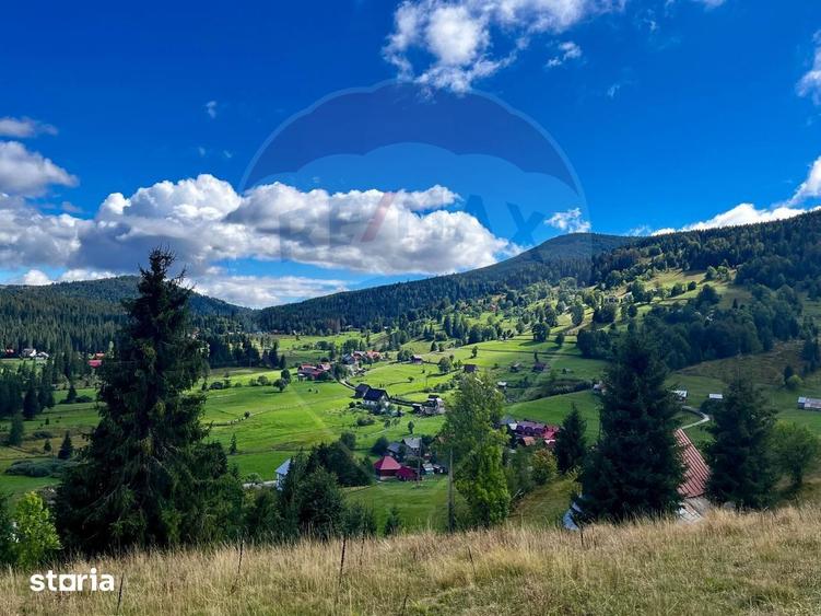 Teren de vanzare in inima Apusenilor 6.500 mp Arie?eni - 4
