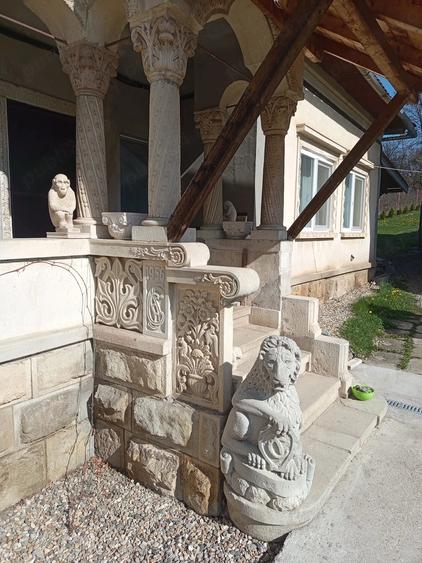 Casă cu Teren 3103 Mp în Central