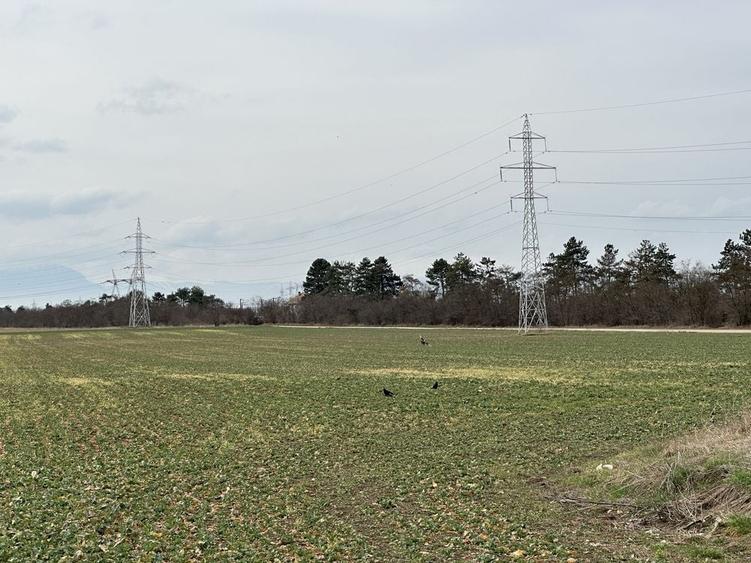 Teren de 33500 mp, în Hărman
