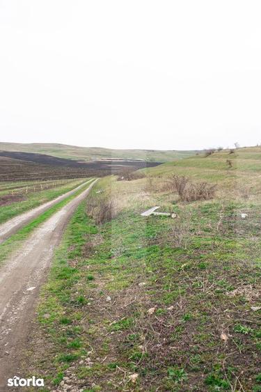 Teren 5800 mp in Campenesti cadru natural deosebit, ideal pentru i - 6