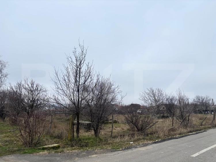 Teren IV 1200 mp, deschidere bilaterala, toate utilitatile, Podari - 2