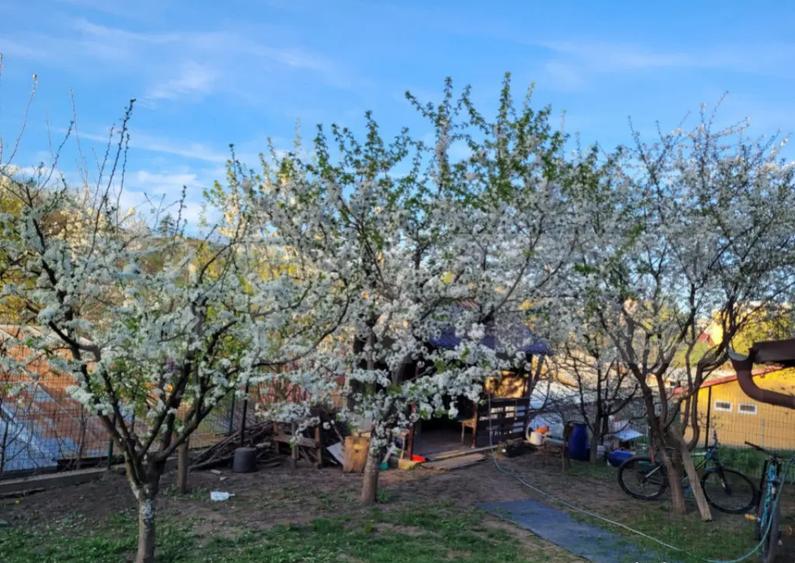 Casa de vanzare | 190 mp | 500 mp teren | Tatara?i - 1