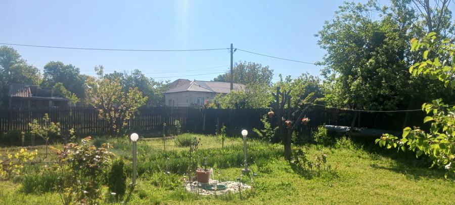 Casa de vanzare Comuna Viisoara-Judetul Teleorman - 20